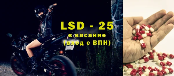 стаф Алзамай