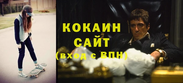стаф Алзамай