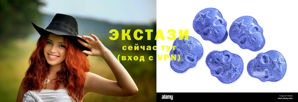 стаф Алзамай