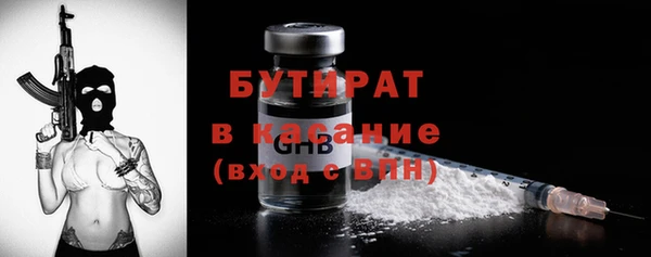 стаф Алзамай