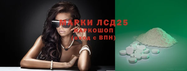стаф Алзамай