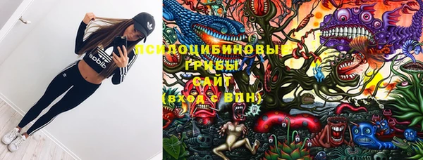 бошки Алексин