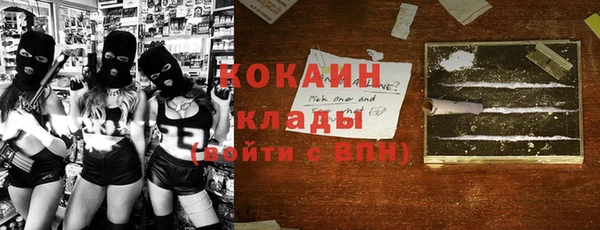 стаф Алзамай