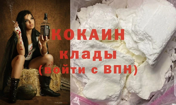 стаф Алзамай