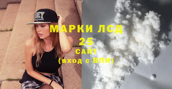 стаф Алзамай