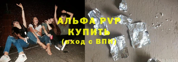 стаф Алзамай