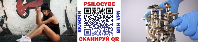 гидра как войти  Кимры  Галлюциногенные грибы Psilocybe  магазин продажи  